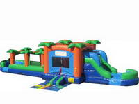 Paradise Inflatable Bounce House Combo