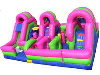 5 in1 Inflatable Bouncer Moonwalk Combo for Sale