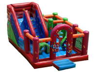 Inflatable Jumping Bounce with Double Slide for Party