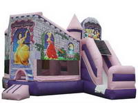 Pretty Princesses Palace Inflatable Castle Combo