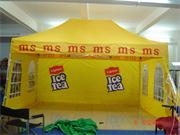 Yellow POP UP Tent PE-1002-4