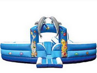Dolphin Inflatable Jumping Castle Moonwalk