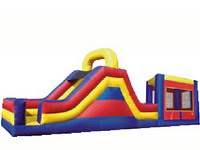 Carnival Inflatable Bounce House Slide Combo