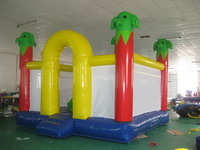 China Manufacturer Fantastic Inflatable Bounce House