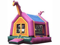 Inflatable Snake Bounce House