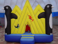 Inflatable Crow Bouncer