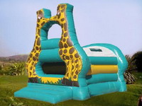 Inflatable Jumper for Rent