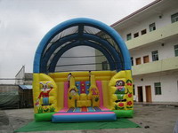 Fun Inflatable Bouncer