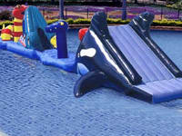 The Most Attractive Dolphin Inflatable Water Obstacle Course Games for Kids