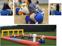Cheerful Inflatable Pony Hops Games