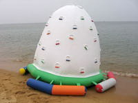 Custom Made Inflatable Water Iceberg for Kids