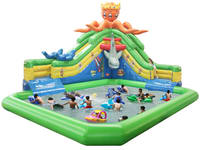 Inflatable Water park-605