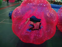 Full Color Bumper Zorb Ball Inflatable Bubble Soccer for sale