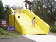 Great Fun Inflatable Zorb Slide for Carnival