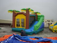 Palm tree Jungle Bounce House with slide