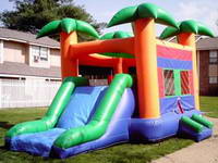 Inflatable Palm Tree Bounce House Slide Combo