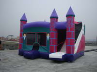 3 In 1 Purple Jumping Castle Combo