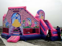 5 In 1 Princess Palace Castles Inflatable Combo