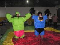 Teens Hulk and Bat Sumo Suits
