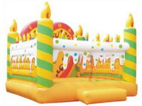 Inflatable Birthday Party Jumping Castle CAS-61