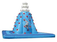 Customized Design Inflatable Rock Climbing Wall for Sale