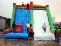 Best Design 2 In 1 Inflatable Rock Climbing Slide for Sale