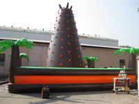 Customized Design Brown Inflatable Rock Climbing Wall for Sale