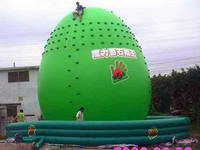 Guava Inflatable Rock Climbing Wall