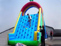 Good Quality Inflatable Rock Climbing Slide for Sale