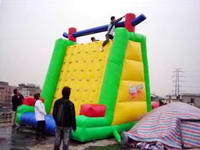 Top Quality Inflatable Rock Climbing Slide for Sale.