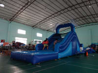 High Quality Inflatable Dolphin Water Slide for Sale