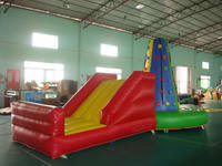 New Design 2 In 1 Kids Inflatable Rock Climbing Wall for Sale