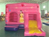 4 In 1 Inflatable Pink Fairy Castle Combo