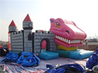 Snappy Dragons Adventure Inflatable Castle Combo