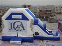 Custom Made LCA Lions Bounce House Slide Combo