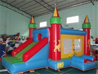 Multi Color Jungle Fun Bounce House Slide Combo