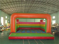 Inflatable Multi Color Party Bouncer