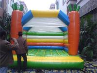 Inflatable Carrots Jumping Bounce House Moonwalk
