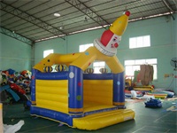 Commercial Inflatable Cown Jumping Bouncer Party Rentals