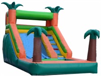 12 Foot Multicolored Splash Inflatable Water Slide Combo