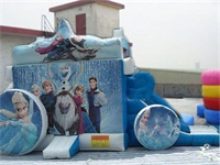 Inflatable Frozen Bouncy Castle for Sale