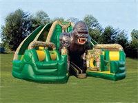 Forbidden Temple Inflatable Obstacle Course