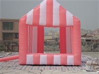 Custom Made Renault Inflatable Garage Tent