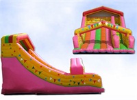 Inflatable Rainbow Slide For Kids Amusement Hire