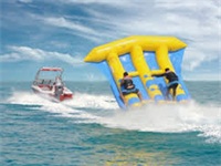 High Quality CE Approval Inflatable Flying Fish Boat for Sale