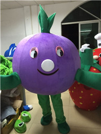 Blue berry mascot costume