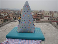 Commercial Grade New Arrival Inflatable Climbing Wall for Sale