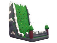 Inflatable Rock Climbing Wall with Jumping Area
