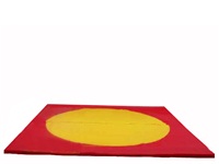 12ft x 12ft Padded Sumo Mat