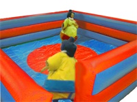 Inflatable Sumo Surround